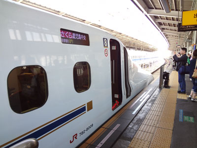 shinkansen-sakura-3.jpg